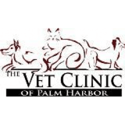 The Vet Clinic of Palm Harbor