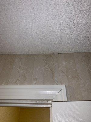 Water damage? Above the bathroom wall