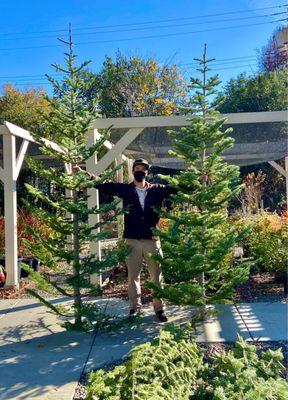 Will was super patient & helpful with my mom & I selecting our trees