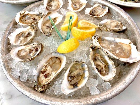 Dozen oysters for happy hour. 4/5 stars