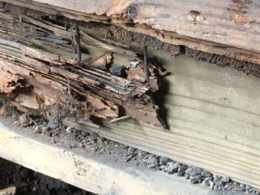 didn't replace all rotten wood and they thought that was a good spot to screw into.