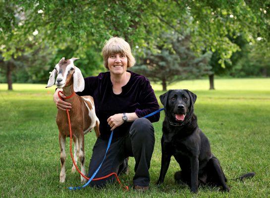 Apple Valley Animal Hospital