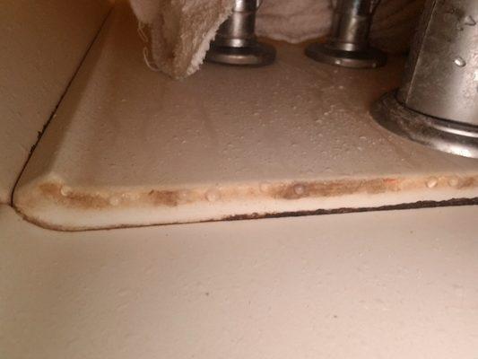 Mold in tub underneath the bath cover it's builfing up and all they offer is bleach to spray