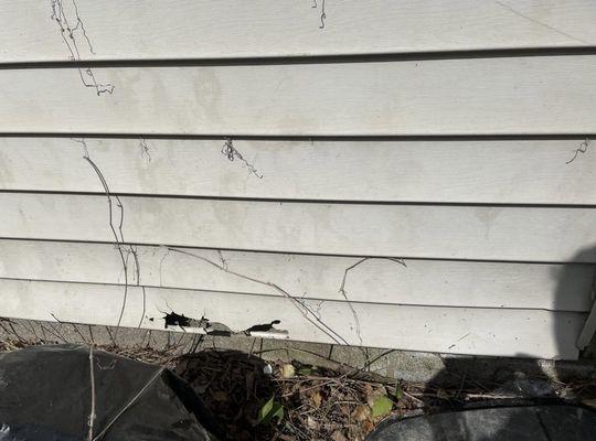 Says I have new siding