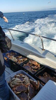 Everyone on-board reached their dungeness limit!