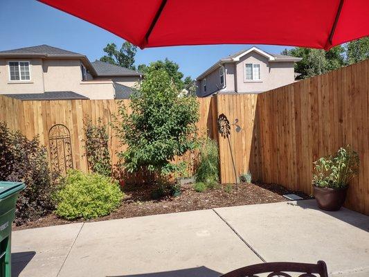 New 8' cedar fence and 4 gates.