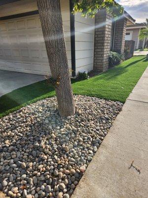 Rocks put in by my tree and artificial turf