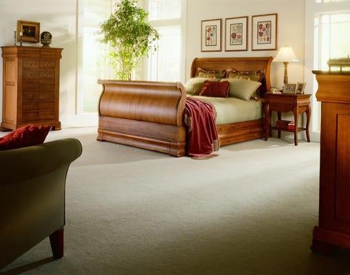 Expert carpet cleaning