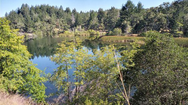 Lake Lagunitas