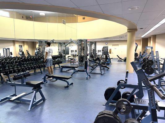 Our free weight room offers all of the equipment you need for strength training. Ask about our Wellness Session to learn more!