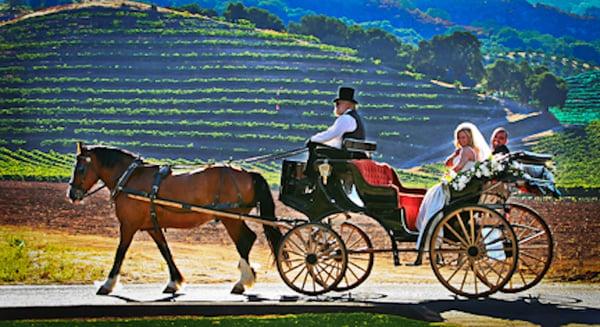 Wedding: Vineyard Carriage ride