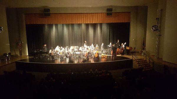 Orchestra concert