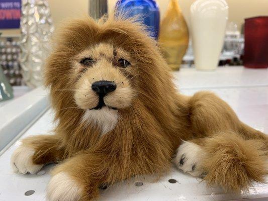 Leon the lion sits guard over an aisle of overpriced crap.