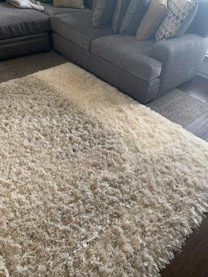 This is my area rug. The side that's nice and clean was under the couch.