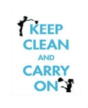 Keep Clean and Carry On LLC