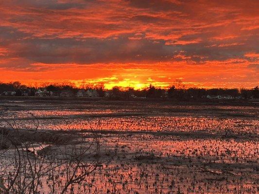 The view from Montero's Pizza. Come experience the sunset and a slice.