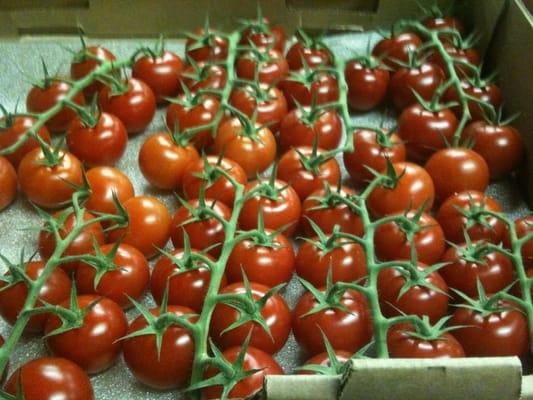 Stem Cherry Tomatoes