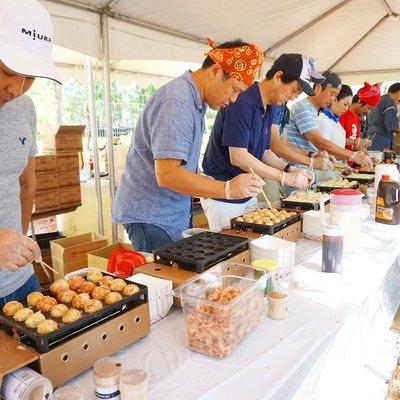 Houston Japan Festival - May 2017