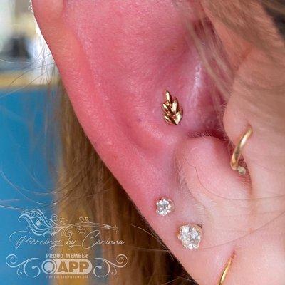 Yellow gold end from Junipurr in this Conch piercing