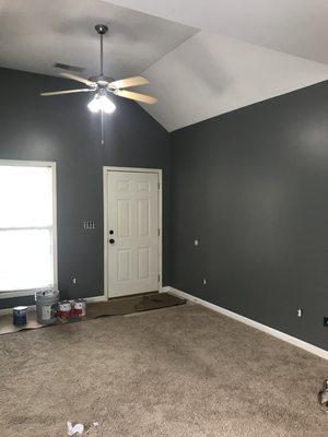 Simple Wall, Trim, and Ceiling paint