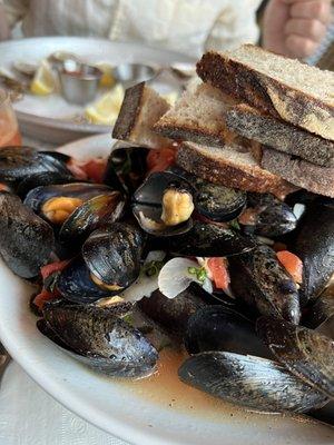 Mussels