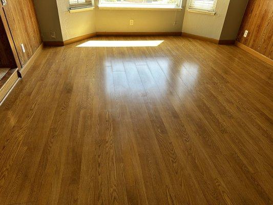 Wood floor cleaning and polishing