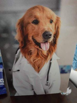 Cute Get Well Card for my Mom.  The inside says "Like they say in Obedience School, HEAL!