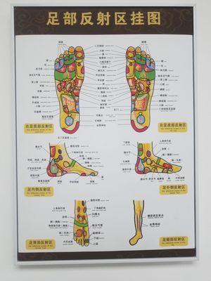 This is a foot chart for acupressure and massage.