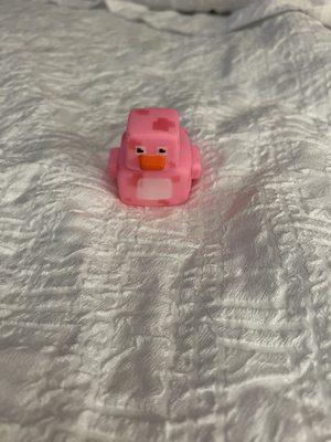 Pink duck to match my new pink Jeep