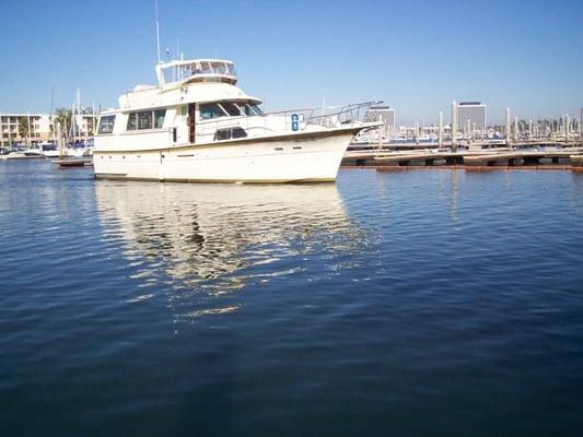 Harbor Cruise