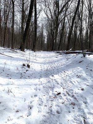 Mass Audubon Pleasant Valley Wildlife Sanctuary