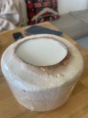 Coconut Jelly