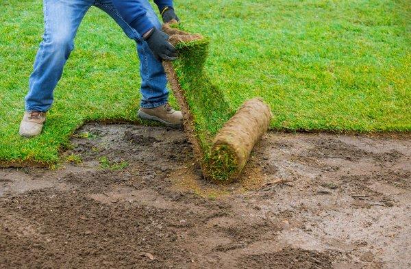 Sod Installation in Wellington, FL