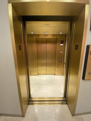 Gold Innovated Montgomery Vector elevator, Saks Fifth Avenue Phipps Plaza