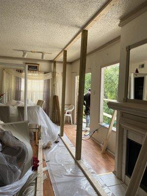 David Pro Painting and Remodeling