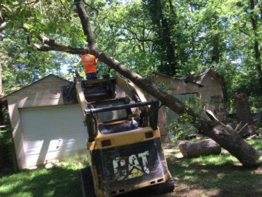 Storm damaged tree. Life comes at you fast. Get yours trimmed and removed if they are close to structures!