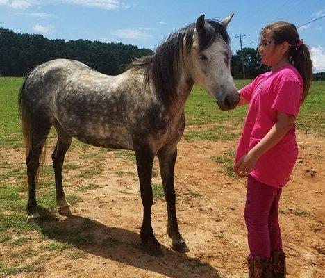 Kids interact with many lovely animals here