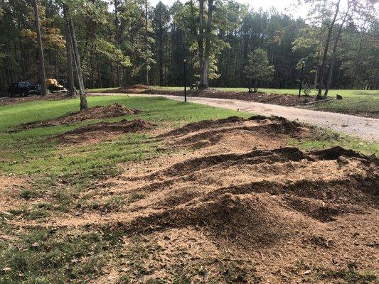 Stump grinding for our friends in Ashland Alabama