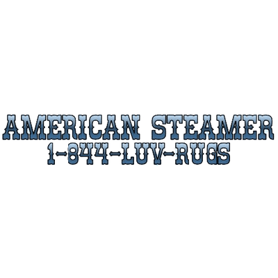 American Steamer Carpet Cleaner