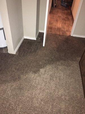 Floor after bailing an inch of water out of the hall