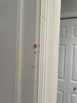 Blood on door trim (how the heck can you miss this!)