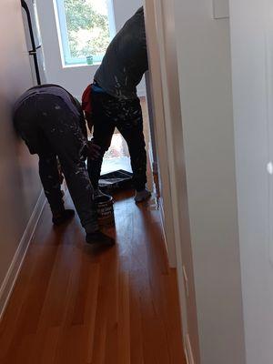 Flooring and Painting