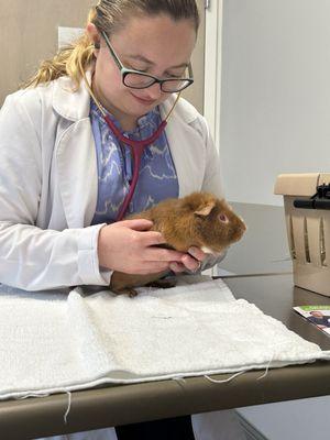 Canobie Lake Veterinary Hospital