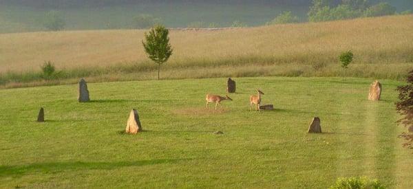 ~Deer in the Stone Circle~  Brittany's Mountain Retreat