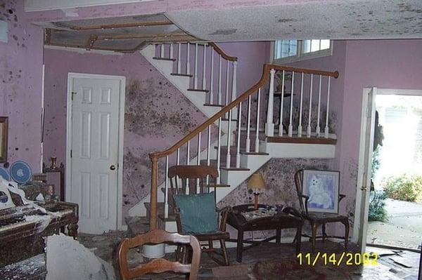 Mold Infested Living Room. Before we did clean up and repairs.