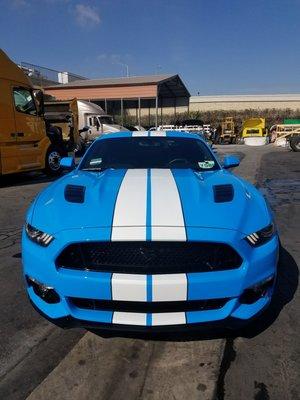 Front view 2017 over the top stripes