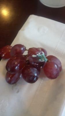 They served me moldy grapes