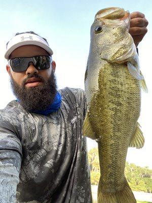 Couple hogs caught with Wild Shinners from Bitters.