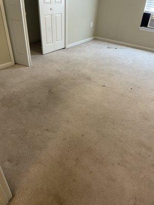 BEFORE - carpet in upstairs bedroom before new flooring