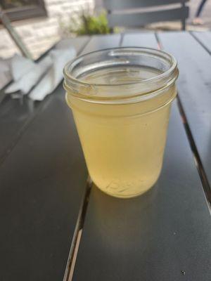 kombucha